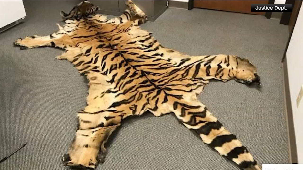 California couple pleads guilty to trafficking wildlife
— Malvern Community news